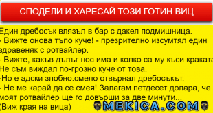 виц за кучета